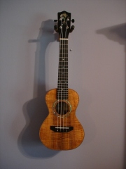 Ukulele Gallery