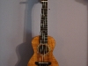 Ukulele Gallery